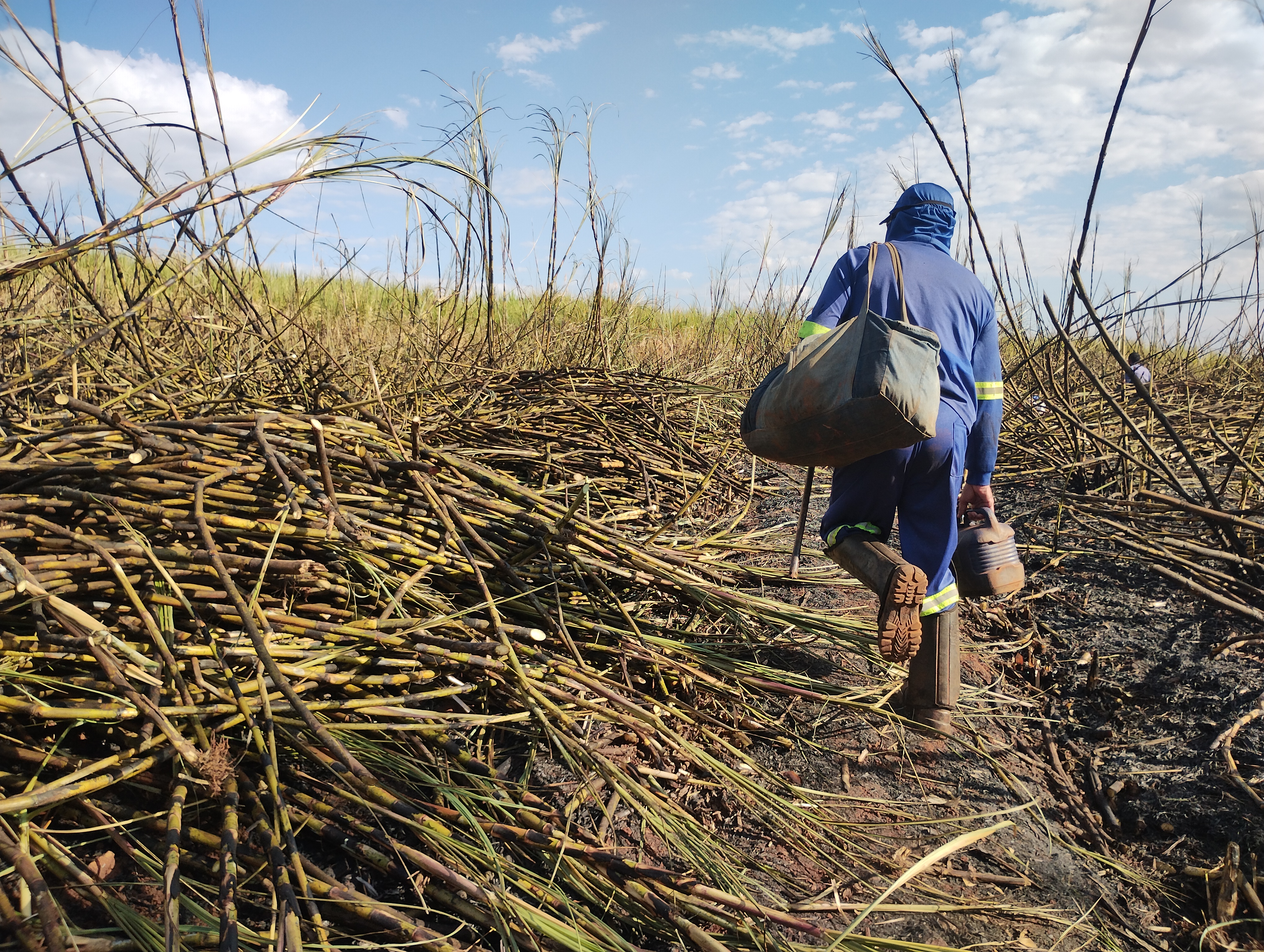Rotas do Trabalho Escravo